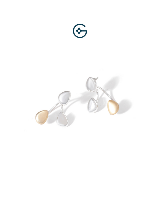 Stylish Silver Two in One Stud With Dangle Earrings