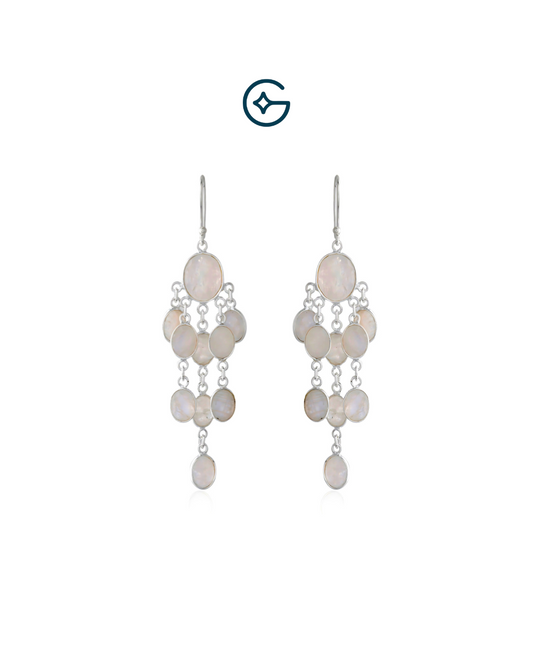 Natural Oval Moonstone Fall Earrings In Silver